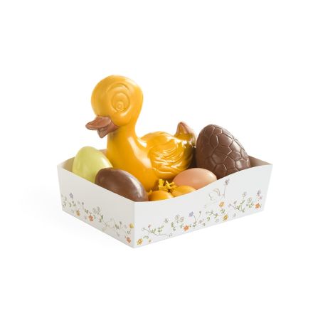 Corbeilles Wave 175 Birdy