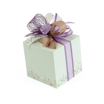 Qbox 500 Birdy