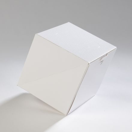 ProBox Bûche 17x14 Blanc+Structures Vernies