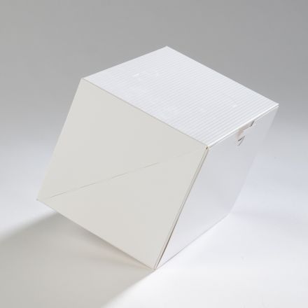 ProBox Bûche 20x14 Blanc+Structures Vernies 