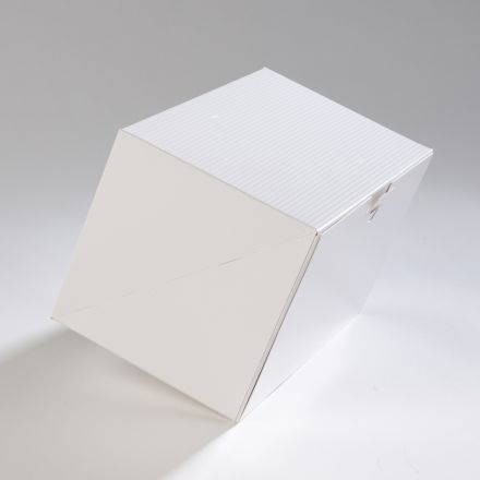 ProBox Bûche 25x14 Blanc+Structures Vernies