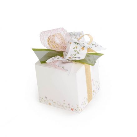 Qbox 250 Birdy