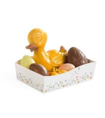 Corbeilles Wave 175 Birdy