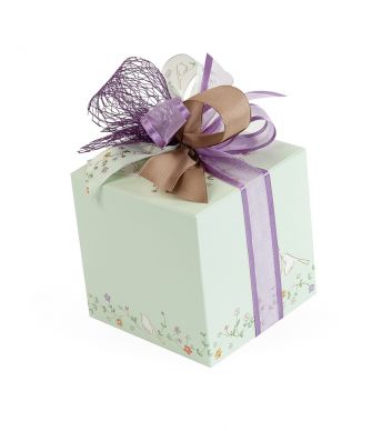 Qbox 500 Birdy