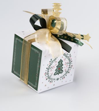 Qbox 500 Jolly