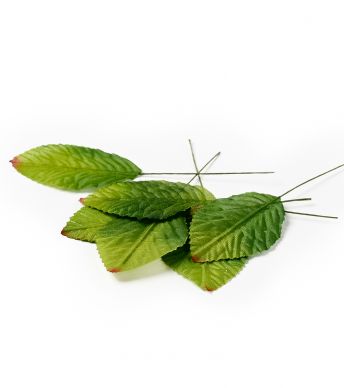 Leaves on wire Green