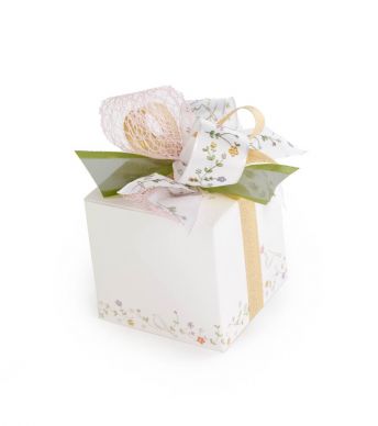Qbox 250 Birdy