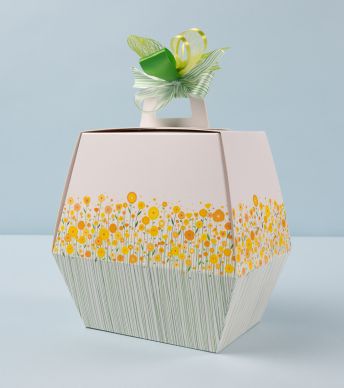 Paasdozen 20cm Chicky