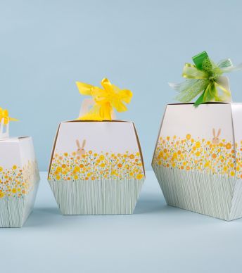 Dubbel conische doos 