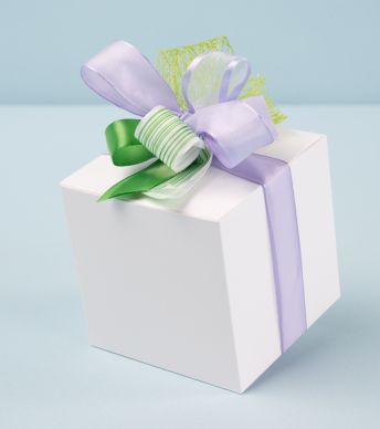 Qbox 500 Wit + Circles