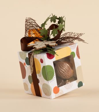 Qbox 250 +fenêtre Cozy