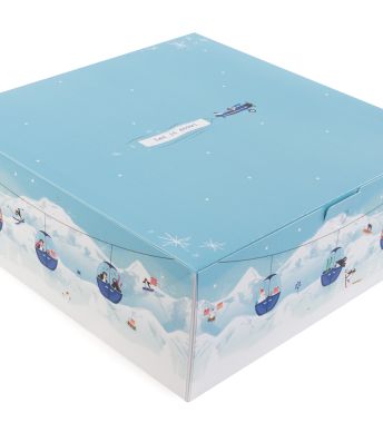 ProBox 30x11 Snowy