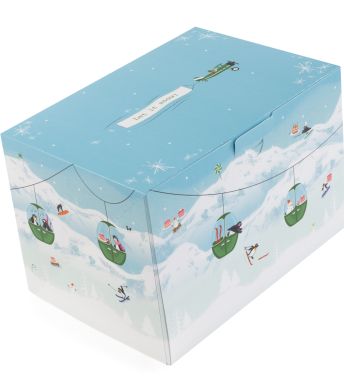 ProBox Bûche 20x14 Snowy