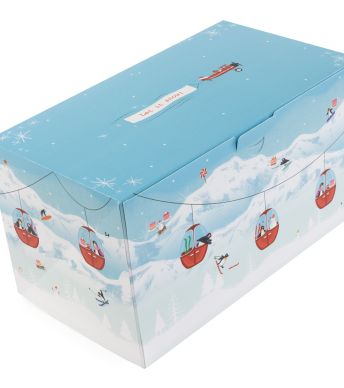 ProBox Bûche 25x14 Snowy