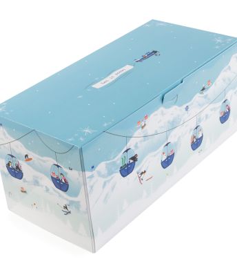 ProBox Bûche 30x14 Snowy