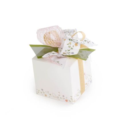 Qbox 250 Birdy